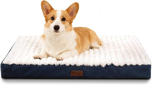 Orthopedic Dog Bed with Firm High-Density Egg Crate Foam, Soft Short Plush Surface Pet Beds,Machine Washable with Removable Cover & Non-Slip Bottom for Medium Breeds (Blue, 29" L x 18" W x 3" H)
