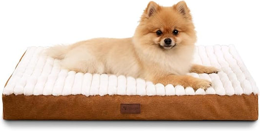 Orthopedic Dog Bed with Firm High-Density Egg Crate Foam Mattress,Soft Short Plush Surface Pet Beds,Machine Washable with Removable Cover & Non-Slip Bottom for Small Breeds(Brown, 23"L x 17"W x 3"H)