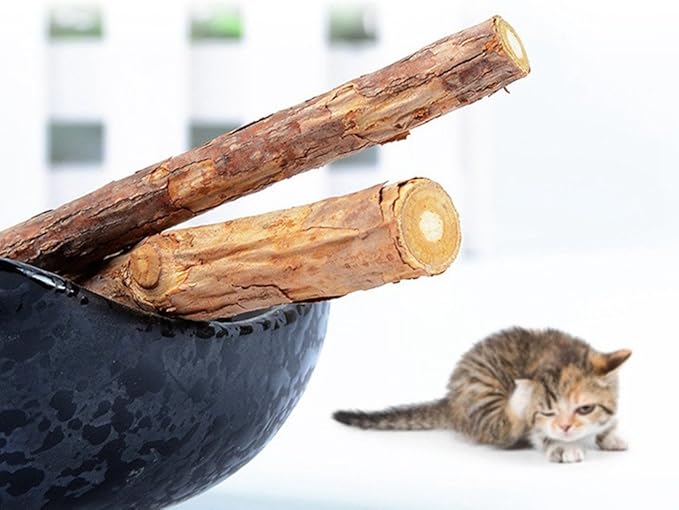 20 PCS Cat Catnip Sticks Natural Matatabi Silvervine Sticks - Cleaning Teeth Molar Tools Kitten Chew Toy Natural Catnip Cats Toy