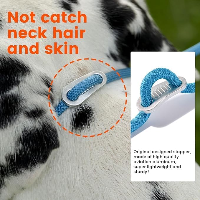 Howgo Double Slip Leash Slip Lead | Dual Dog Lead for 2 Dogs,360° Swivel No Tangle | Dog Training Nylon Leash and Collar | Double Clip Coupler and Splitter | Lightweight Aluminum (MintGreen, 3FT)