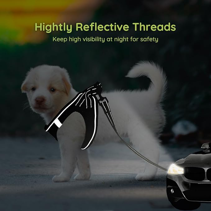 BELLA & PAL Step in Vest Harness for Small and Medium Dogs, No Pull Small Dog Harness with Leash Set, Comfortable Air Mesh Dog Vest Harness with Reflective Strip (Deep Black, XS)