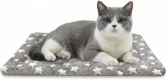 Dog Bed Mat, Dual-Sided Dog Crate Bed Mat - Ultra Soft & Machine Washable Kennel Pad for Cats and Extra Small Dogs, All-Season Comfort Pet Bed for Crates, Travel, and Home, Star Gray, 18 x 14 Inch