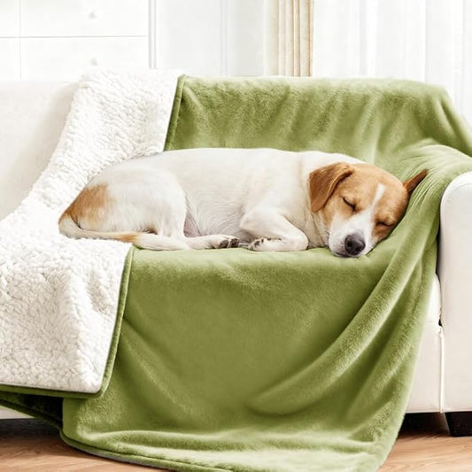 Lekereise Reversible Waterproof Dog Blanket, Super Soft Couch Cover for Dogs, Washable Leak-Proof Protector for Sofa Bed Car Seat, for Cats to Large Dogs (Green, 25" x 35")