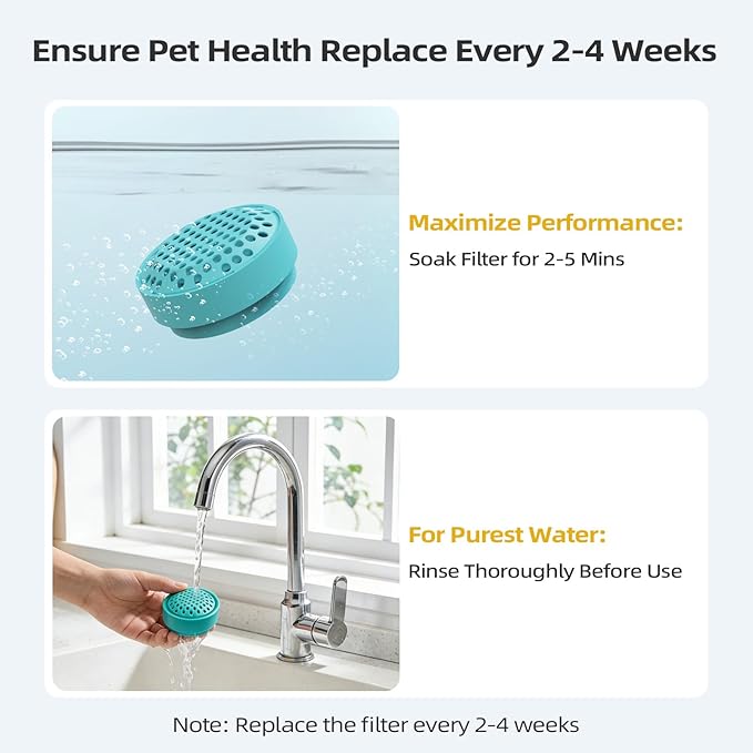 Glass Cat and Dog Water Fountain 90oz/2.7L, Compatible with Replacement Filters 8 Pack (with 8 Sponges)