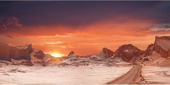 AWERT 30x12 inches Sun and Desert Terrarium Background Orange Reptile Habitat Background Durable Polyester Background