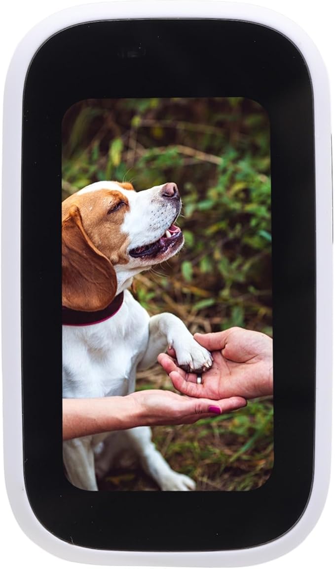 Pet Body Worn Camera, HD Resolution Wearable Body Cam for Dogs and Cats, Water Pet Action Camera with Lightweight Design for Outdoor Travel and Daily Adventures (White)