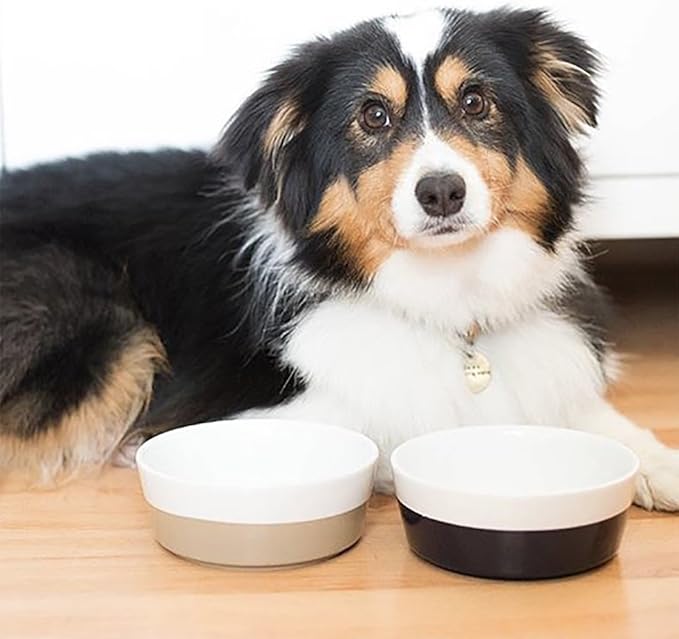 Waggo Dipper Ceramic Dog Bowl for Small and Large Breeds - Heavyweight and Durable Pet Food and Water Dish Crock, Dishwasher Safe, Modern (Mint, Small)
