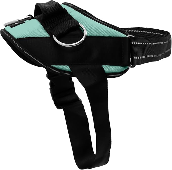 ShawnCo Essential Dog Harness, No-Pull Pet Vest with 3 Leash Clips, No Choke, Reflective, Adjustable and Padded, for Easy Walking and Training for Small, Medium and Large Dogs (Seafoam, M)