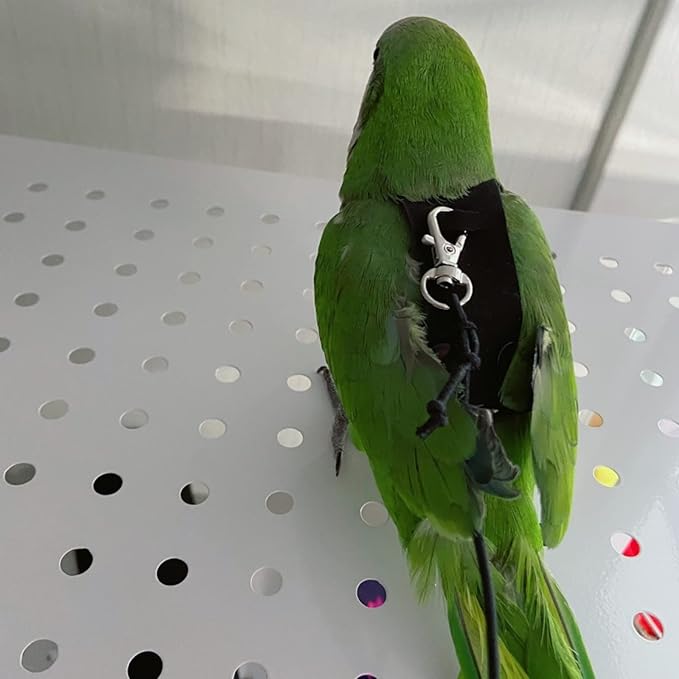Bird Flight Harness Vest, Parrot Flight Suit with Leash for Parakeets Cockatiels Conures Budgies, Bird Flying Clothes with Rope and Handle for Outdoor Activities Training, Anti Bite (2M)