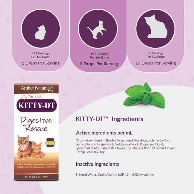 Amber NaturalZ Kitty-DT Digestive Rescue Herbal Supplement for Cats | Supports Normal Digestive Function and Occasional Gastric Upsets | Natural Aid for Gastrointestinal Health