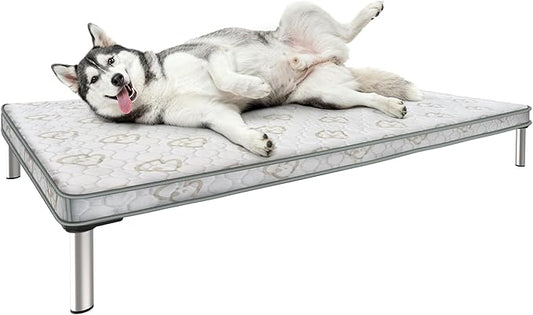 FXW TitanNest Chew-Proof Elevated Dog Bed, Raised Cot for Indoor/Outdoor/Camping Use, Durable & Waterproof Cooling Pet Bed with Exclusive Cover for Medium Dogs, 41.0" L x 27.0" W x 5.0" H, Black