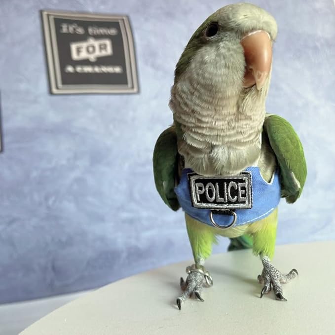 Bird Flight Harness Vest, Parrot Flight Suit with Leash, Bird Flying Clothes with Rope and Handle for Outdoor Activities (Without Leash,Crested Myna)