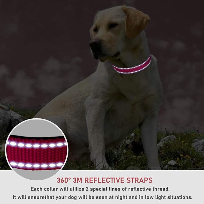 Reflective Dog Collar with Buckle Adjustable Safety Nylon Collars for Small Medium Large Dogs, Red M