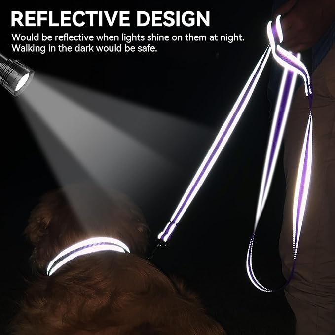 Joytale Dog Leash, 6 FT Double-Sided Reflective, Padded Handle Nylon Heavy Duty Leashes for Medium & Large Dogs Walking, Purple