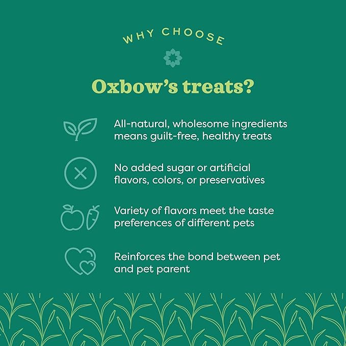 Oxbow Simple Rewards Small Pet Treats, Banana, Freeze Dried Fruit, Guinea Pig & Bunny Treats, Healthy Pet Fruit Snack for Rabbit & Guinea Pig, Freeze Dried Bananas, 1 oz Bag