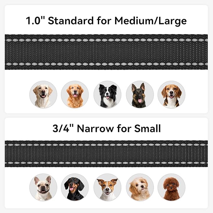 Joytale Dog Leash, 4 FT Double-Sided Reflective, Padded Handle Nylon Heavy Duty Leashes for Small Dogs Walking, Black