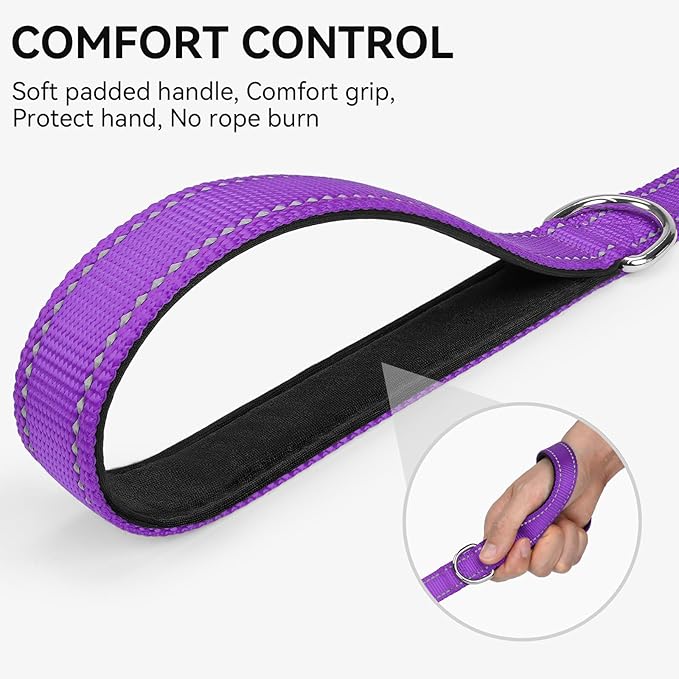 Joytale Dog Leash, 6 FT Double-Sided Reflective, Padded Handle Nylon Heavy Duty Leashes for Small Dogs Walking, Purple