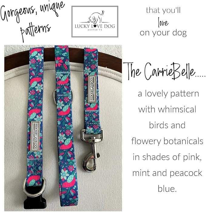 Lucky Love Dog - Adjustable Collar and Leash Set with Easy Click Buckle for Large Dogs, Durable, & Comfortable Collar for Male & Female Dogs, Puppies & Adult - CarrieBelle Combo, Large