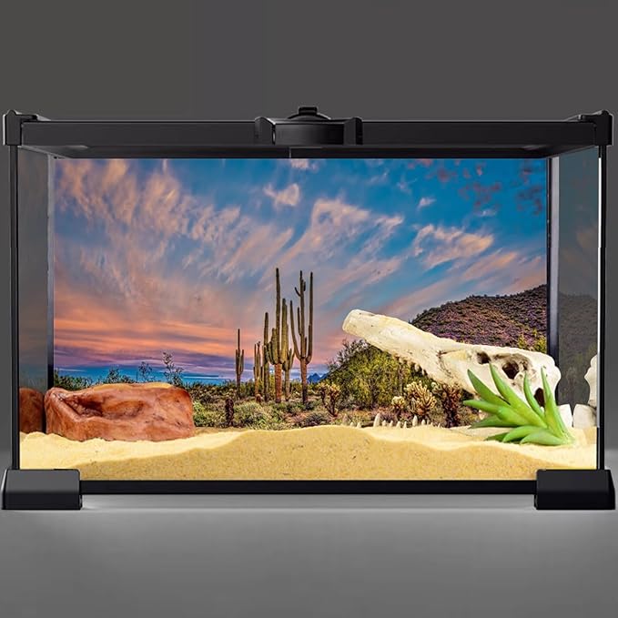 AWERT 48x24 inches Terrarium Background Blue Sky Cloud Huge Cactus Oasis Gobi Reptile Habitat Background Vinyl