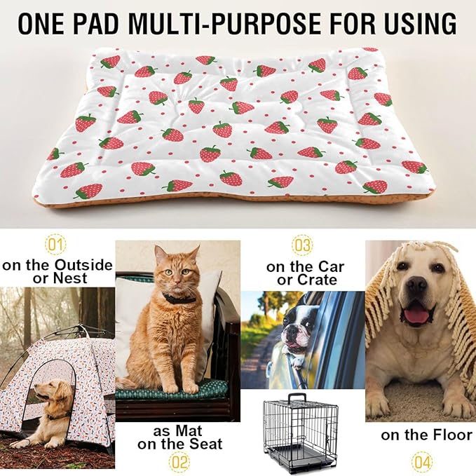 Pet Bed Strawberry Fruit Dog Bed Mat Absorbing Non Slip Pad Pet Sleeping Mat for Small, Medium, and Large Dogs Puppy Cat 36 in x 24 in