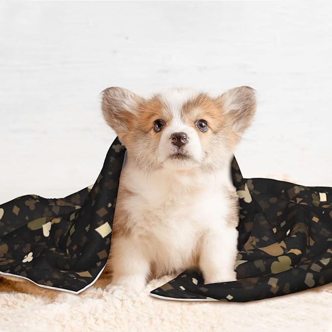 Casino Print Soft Plush Pet Blanket, Washable Dog Blanket, Cat Fleece Throw, Puppy Bed Crate Mat & Sofa Couch Protector - Medium