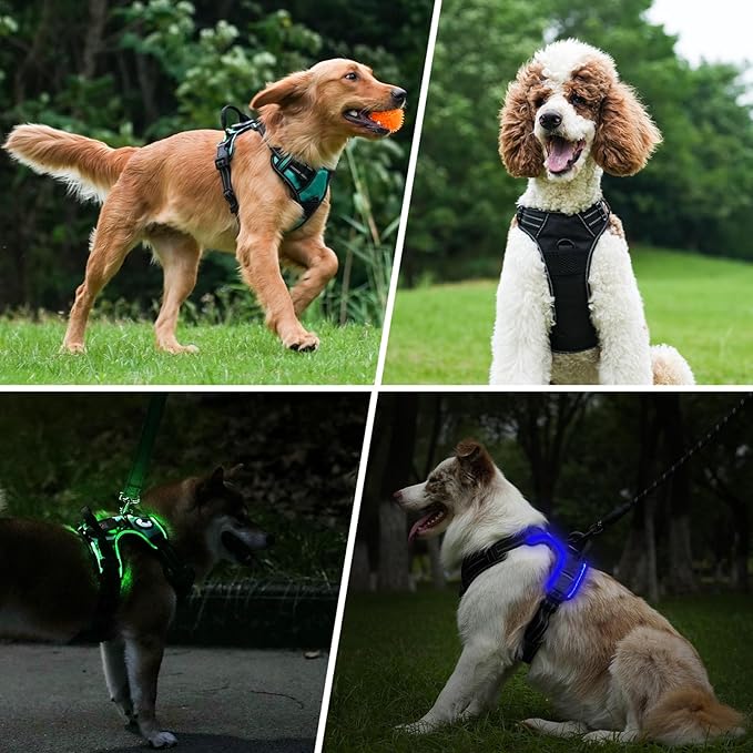 Taglory Light Up Dog Harness, Rechargeable No Pull Dog Vest with 3 Lightning Modes, Reflective Dog Harness with 2 Leash Clips & 4 Adjustable Slide Strips for Small Dogs, Purple-Orange, S