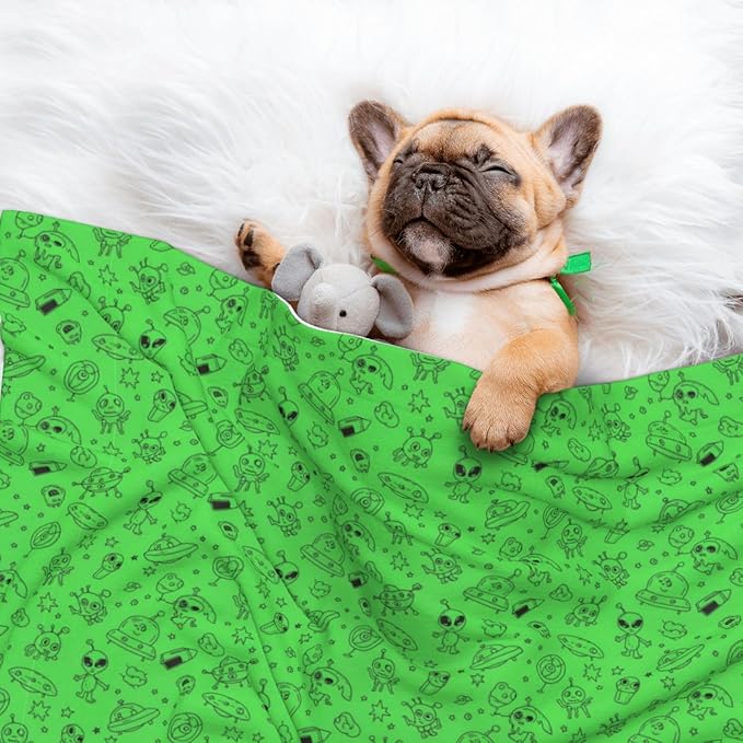 Pet Blanket for Travel and Home, Funny Aliens Dinosaurs Sasquatch, Reversible Plush Dot Design with Soft Grip Texture on One Side Perfect for Car Seats Moving Vehicles