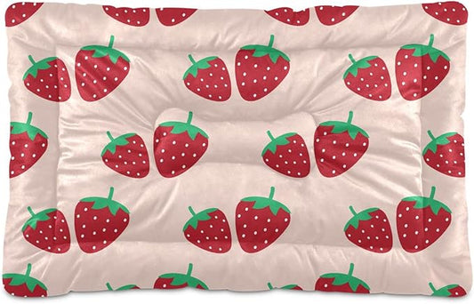 Strawberry Fruit Pet Bed Cute Dog Bed Mat Absorbing Non Slip Pad Pet Sleeping Mat for Small, Medium, and Large Dogs Puppy Cat 24 in x 18 in