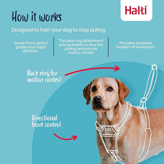 Halti No Pull Harness - Stop Your Dog Pulling on The Leash. Adjustable, Lightweight and Easy to Use. Reflective Dog Training Harness for Large Dogs (Size L, Forest Green)