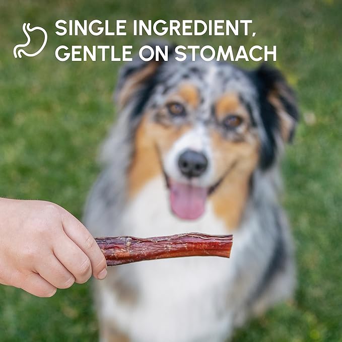 Downtown Pet Supply USA Sourced Bully Sticks for Dogs - Grass-fed Beef Chews, Low-Odor & Rawhide-Free, Long Lasting Dog Treats - Healthy, Safe & Delicious Chews (6" 15 Pack)