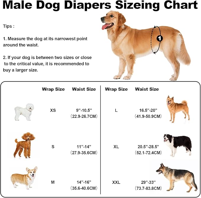 Washable Male Dog Diapers Reusable, Premium Belly Bands for Male Dogs, Pack of 3, High Absorbing Extra Small Male Dog Pee Wraps for Doggie in Incontinence or Excitable Urination and Training(XS)