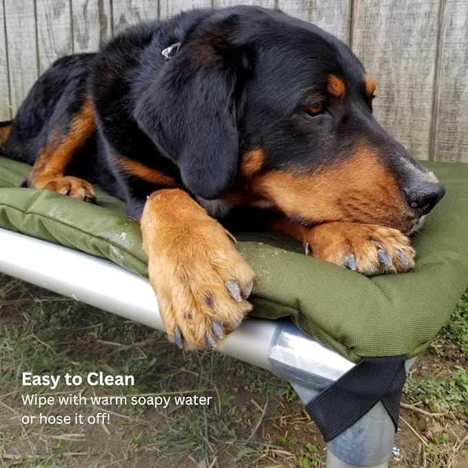 Kuranda Chewproof Elevated Pet Bed - Silver Aluminum - 50" x 36" - Sunsure Textilene - Birch