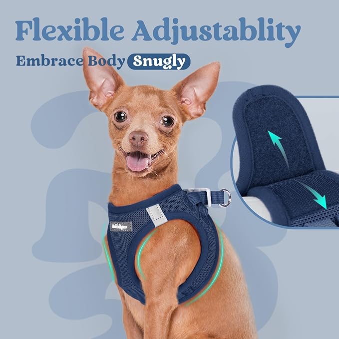 rabbitgoo Small Dog Harness, Step-in Soft Mesh Puppy Vest with Safety Buckle, Breathable Reflective Pet Harness for Extra Small Dogs, Navy Blue XXXS