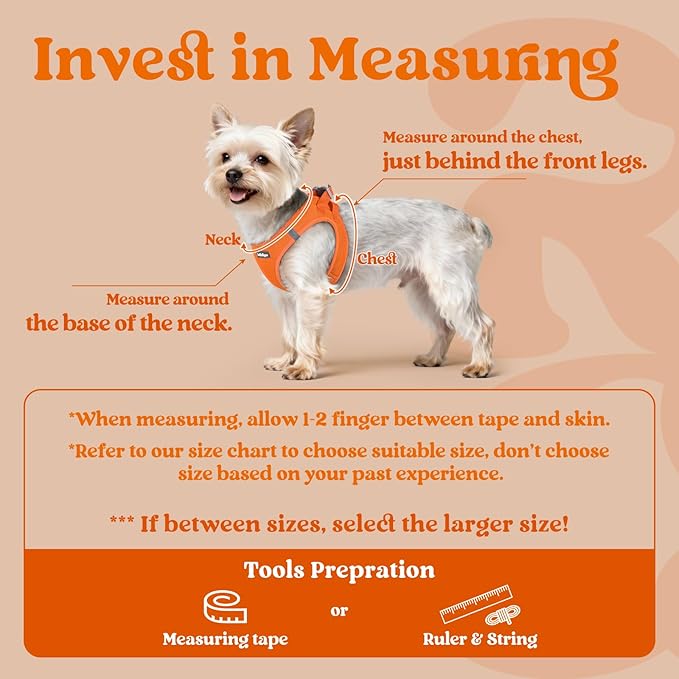 rabbitgoo Small Dog Harness, Step-in Soft Mesh Puppy Vest with Safety Buckle, Breathable Reflective Pet Harness for Small Sized Dogs, Orange XS