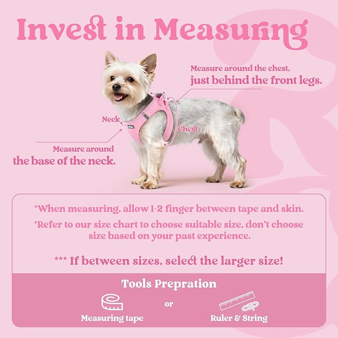 rabbitgoo Small Dog Harness, Step-in Soft Mesh Puppy Vest with Safety Buckle, Breathable Reflective Pet Harness for Small Medium Dogs, Light Pink XL
