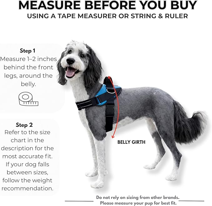 ShawnCo Essential Dog Harness, No-Pull Pet Vest with 3 Leash Clips, No Choke, Reflective, Adjustable and Padded, for Easy Walking and Training for Small, Medium and Large Dogs (Arctic Camo, S)