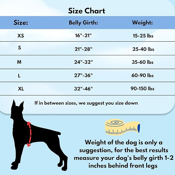 ShawnCo Dream Walk No-Pull Dog Harness- Adjustable, Comfortable, Easy to Use Pet Halter to Help Stop Pulling for Small, Medium and Large Dogs (Moonglow, S)