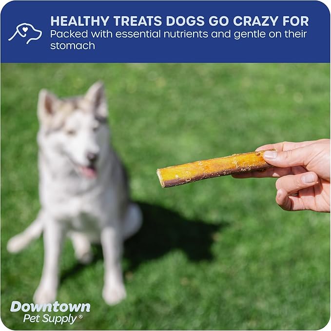 Downtown Pet Supply Jumbo Bully Sticks for Dogs - Natural Beef Chews, Low-Odor & Rawhide-Free, Long Lasting Dog Treats for Aggressive Chewers - Healthy, Safe & Delicious Chews Dogs Love (6" 10 Pack)