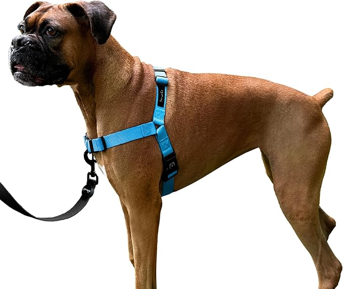 ShawnCo Dream Walk No-Pull Dog Harness- Adjustable, Comfortable, Easy to Use Pet Halter to Help Stop Pulling for Small, Medium and Large Dogs (Oceanic Blue, L)