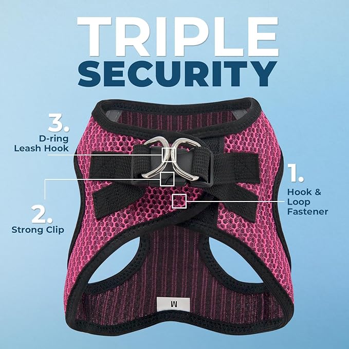 Best Pet Supplies Voyager Step-in Air Harness - All Weather Mesh, Reflective, No Pull Harness for Dogs, Cats - Secure with Hook & Loop Fastener, Buckle, Double D-Rings - Fuchsia 2-Tone, XS