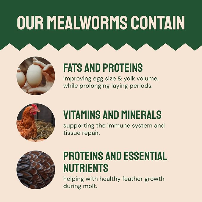 Hatortempt Dried Mealworm Bird Food - 20 Lb Bulk Pack - High Protein Poultry & Chicken Feed - Duck Food & Wild Bird Feed & Quail Treats