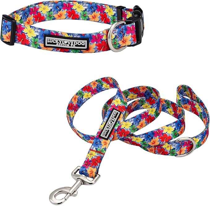 Lucky Love Dog - Easy Click Buckle Dog Collar with Leash Set Combo, Durable & Comfortable for Male & Female Dogs, Pet Collar for Large Dogs, Secure Fit - Hana Combo, Large