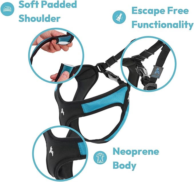 Gooby Escape Free Easy Fit Harness - Orange, Medium - No Pull Step-in Patented Small Dog Harness with Quick Release Buckle - Perfect On The Go No Pull Harness for Small Dogs or Medium Dog Harness