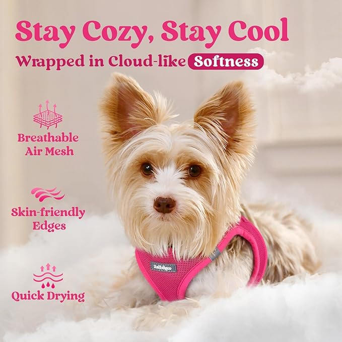 rabbitgoo Small Dog Harness, Step-in Soft Mesh Puppy Vest with Safety Buckle, Breathable Reflective Pet Harness for Extra Small Dogs, Rose Red XXXS