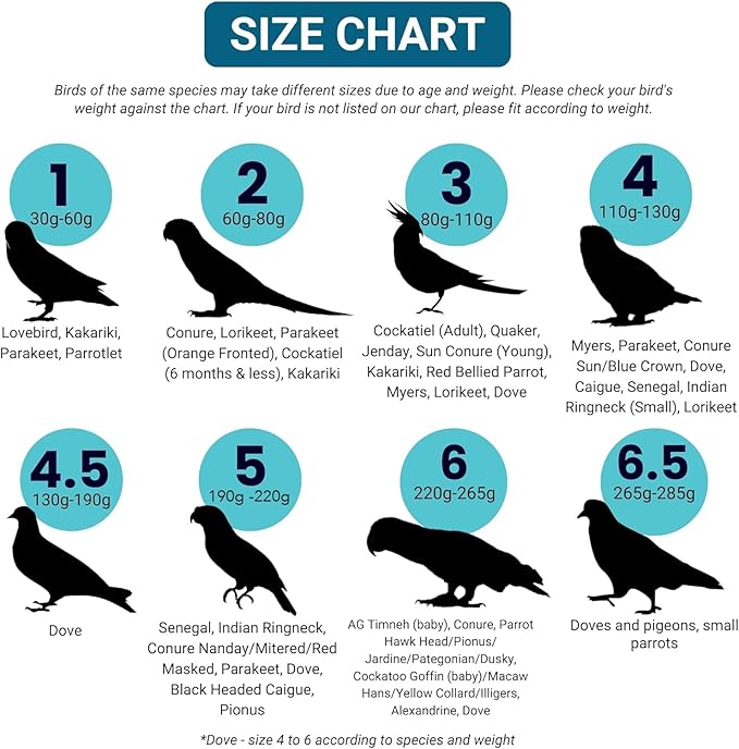 Bev's Bird Boutique Regular Flyper Adjustable Bird Diaper | Reusable, Washable Cloth | Comfort Fit for Parrot, Cockatiels, & Other Small Birds | Fashionable Avian Accessories, Navy & Red, Size 9