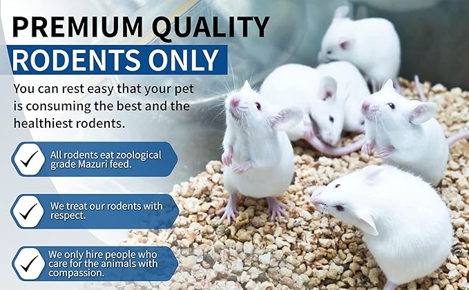 MiceDirect Frozen Mice Combo Pack of 40 Small Pinkies & 40 Pinkies Feeder Mice - Food for Corn Snakes, Ball Pythons, Lizards – 40 Ounce (Pack of 80)