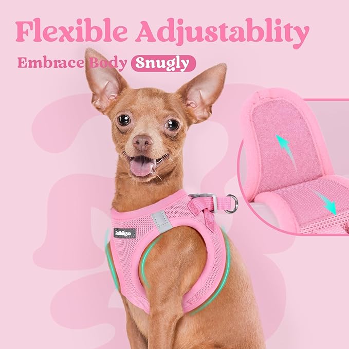 rabbitgoo Small Dog Harness, Step-in Soft Mesh Puppy Vest with Safety Buckle, Breathable Reflective Pet Harness for Extra Small Dogs, Light Pink XXS