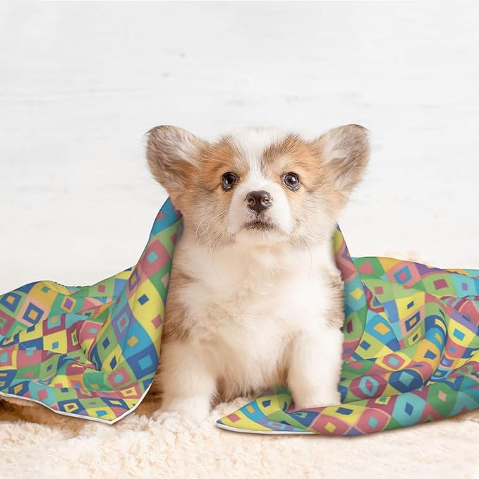 Reversible Plush Dot Pet Blanket for Dogs and Cats, Rainbow Diagonal Plaid, Ultra Soft Two Sided Design with Warm Fuzzy Side and Smooth Side for Comfort