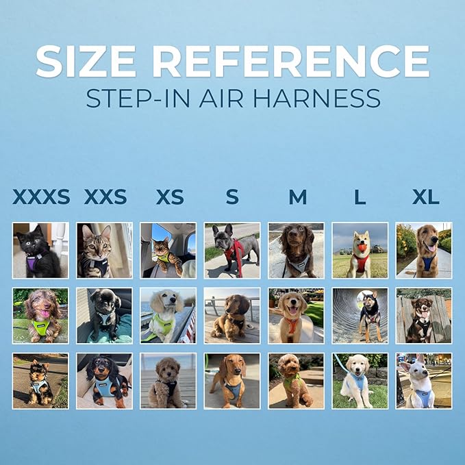 Best Pet Supplies Voyager Step-in Air Harness - All Weather Mesh, Reflective, No Pull Harness for Dogs, Cats - Secure with Hook & Loop Fastener, Buckle, Double D-Rings - Lime Green/Black Trim, XS