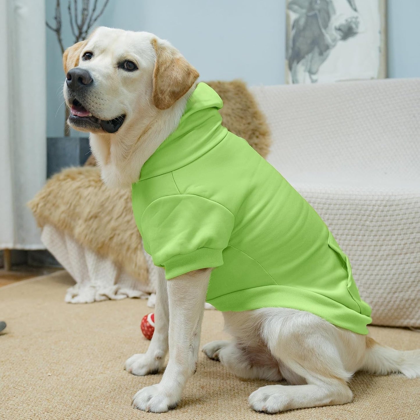 KOOLTAIL Basic Dog Hoodie - Soft & Warm Dog Hoodie Sweater with Leash Hole and Pocket, Dog Winter Coat, Cold Weather Clothes Sweatshirt for Small Medium Large Dogs Puppy Cat Boys Girls Green XL